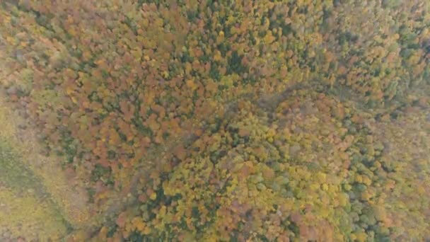 Αργή Κεραία Πάνω Από Ένα Σιωπηλό Και Ανθισμένο Βαλκανικό Δάσος — Αρχείο Βίντεο