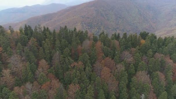 Aerial View Autumn Mountains Landscape Bulgaria Aerial View Travelling — Stock Video