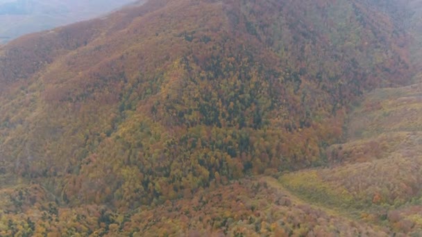 Aerial Footage Mountains Forests Balkan Peninsula Autumn Typical Autumnal Reds — Αρχείο Βίντεο