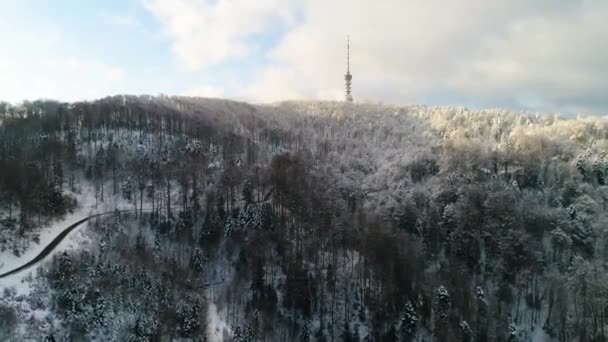 Letecký Pohled Televizní Věž Vrcholu Hory Obklopen Lesem Pokrytým Sněhem — Stock video