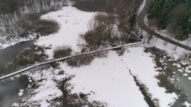 Luftaufnahme Einer Person Die Über Einen Holzweg Neben Einem Zugefrorenen — Stockvideo