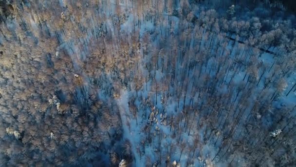 Karla Kaplı Ormanla Çevrili Dağın Tepesindeki Kulesinin Hava Görüntüsü Ortaya — Stok video