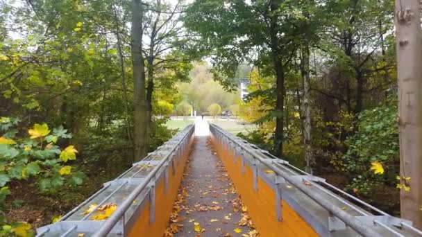Stojící Pohled Most Podzim — Stock video