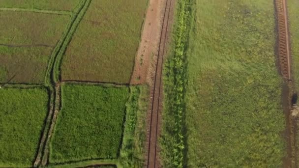 Een Vogelperspectief Luchtfoto Van Treinrails Die Door Vormen Van Groene — Stockvideo