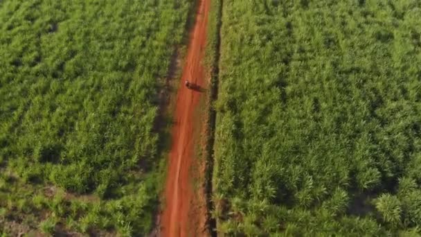 Afrika Tozlu Kirli Bir Yolda Yol Alan Bir Motosikletin Havadan — Stok video