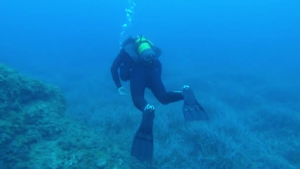 Buceador Nadando Cerca Del Fondo Del Mar Mientras Mira Alrededor — Vídeos de Stock