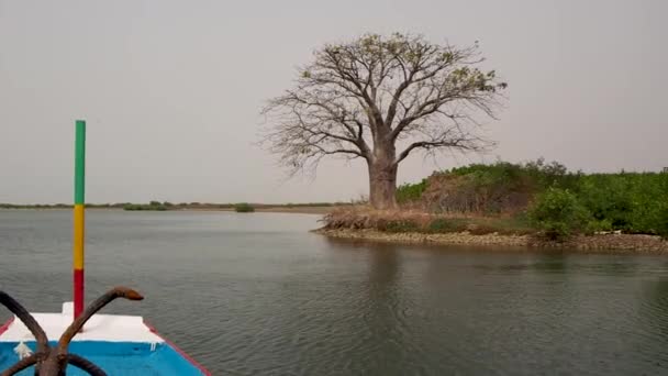 Rijden Een Rivierboot Zuid Senegal — Stockvideo