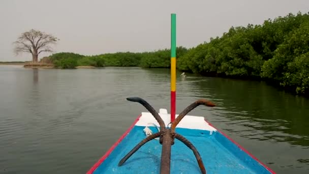 Rijden Een Rivierboot Zuid Senegal — Stockvideo