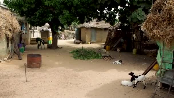Casa Quintal Uma Pequena Aldeia Senegal — Vídeo de Stock