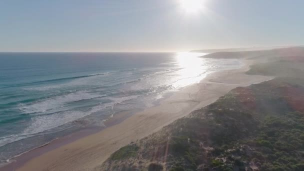 Aerial Shot Moving Sandy Beach Coastline South Australia — Stock videók