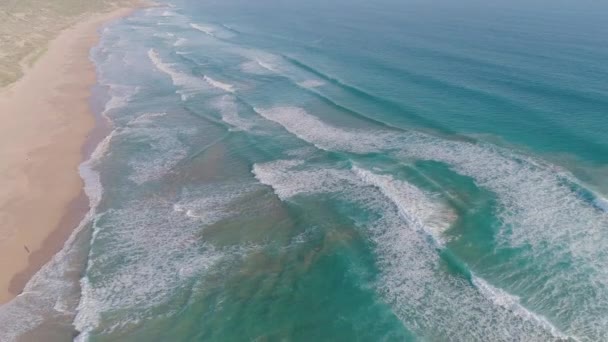 Αεροφωτογραφία Από Αμμώδη Παραλία Στη Νότια Αυστραλία — Αρχείο Βίντεο