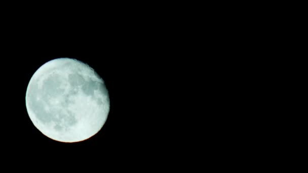 Moon Panning Night Sky — Stock Video