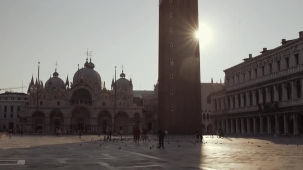 Vipp Opp Bildet Klokketårnet Marco Piazza San Marco Morgen Venezia – stockvideo