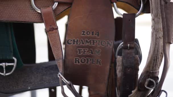 Campeão Roping Couro Imagens — Vídeo de Stock