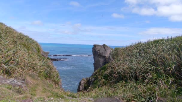 Arka Planda Okyanus Punakaiki Yeni Zelanda Gibi Otlarla Kaplı Uçurumların — Stok video