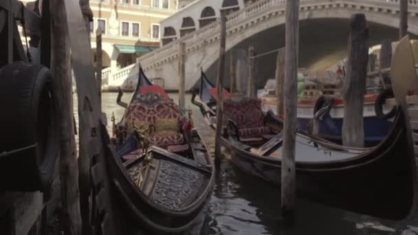 Zbliżenie Gondoli Zaparkowanych Pobliżu Mostu Rialto Wenecji Włochy — Wideo stockowe