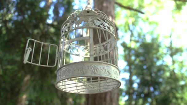 敞开的鸟笼挂在树上 婚礼装饰 — 图库视频影像