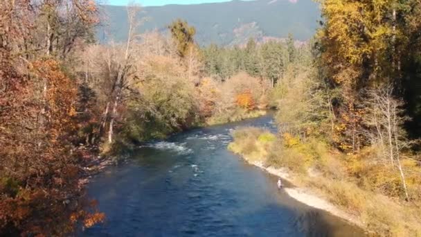 Drone Shot River Autumn Man Fly Fishing — Stock videók