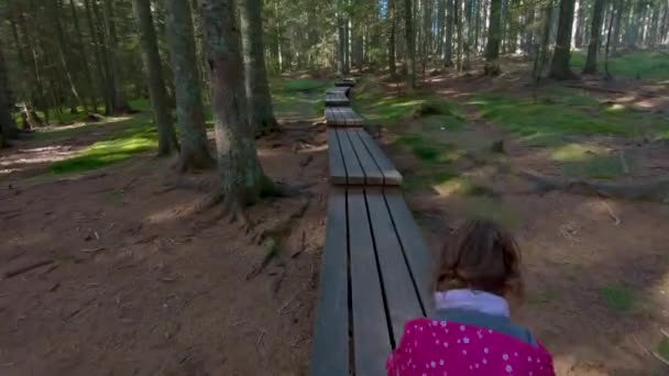 Fetiță Drumeții Pod Prin Pădure Care Confruntă Departe Pierdut Conceptul — Videoclip de stoc