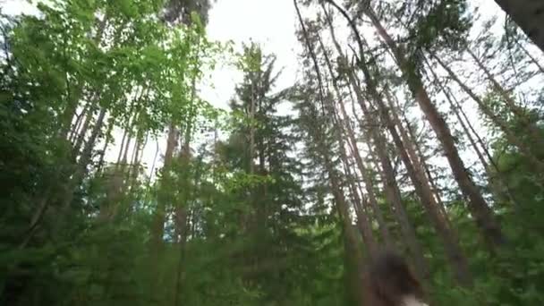 カメラを持つ最初の人のビューは 木の上から下に傾斜森の中を歩く振るハイキングで背の高いブルネットの女性の後ろに従うこと — ストック動画