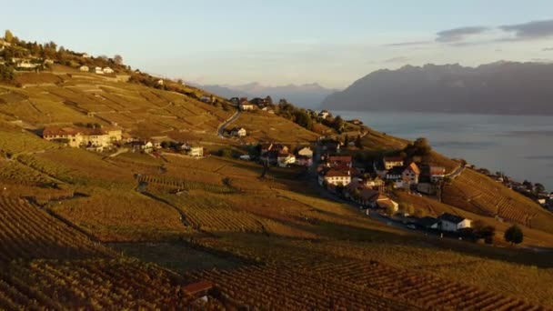 Alacsonyan Repül Lavaux Szőlőskert Felett Közel Aran Faluhoz Svájchoz Lake — Stock videók