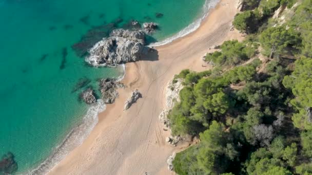 Costa Brava Beach Aerial Drone Paradise Turquoise Green Lloret Mar — Vídeo de stock