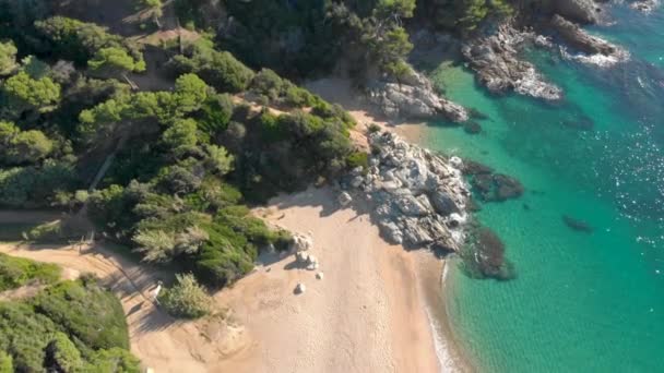 Costa Brava Beach Aerial Drone Paradise Turquoise Green Lloret Mar — Vídeo de stock