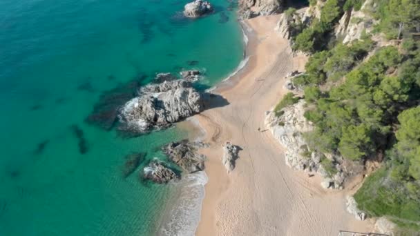 Costa Brava Beach Aerial Drone Paradise Turquoise Green Lloret Mar — Stockvideo