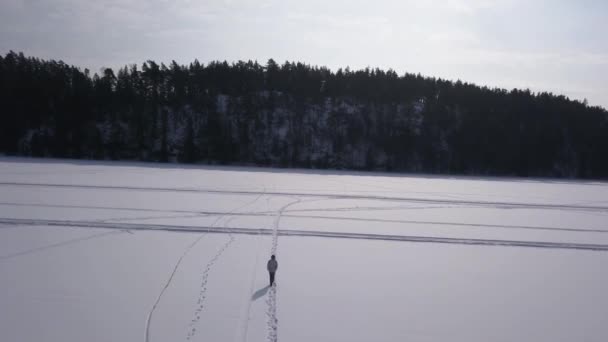 Joven Rubia Hembra Yendo Caminar Desolado Lago Congelado Para Despejar — Vídeos de Stock