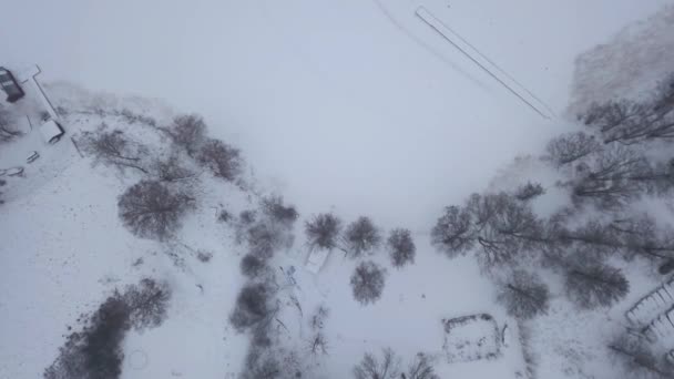 Kuş Bakışı Manzara Donuk Gölün Kenarına Doğru Hafifçe Zum Yapar — Stok video