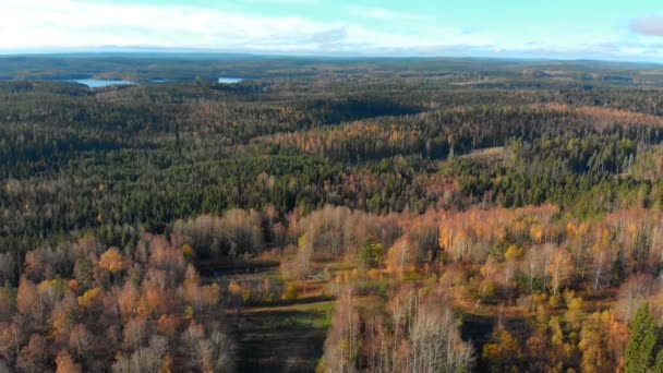 Reversed Drone Footage Revealing Beautify Autumn Forest Old Abandoned Skiing — Stock video