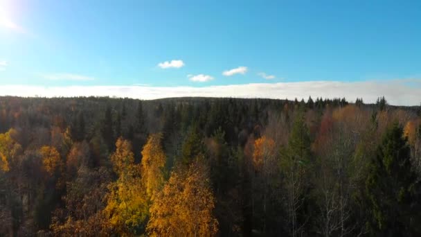 Imagens Drones Ascendentes Revelando Uma Floresta Outono Colorida Com Céu — Vídeo de Stock