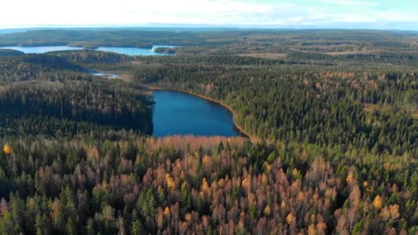 Drone Footage Flying Colourful Autumn Forest Small Lake Filmed Realtime — Vídeo de Stock
