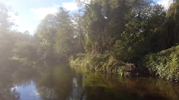 Řeka Stour Canterbury Kent Podzim Obklopuje Řeka Plná Podzimních Barev — Stock video