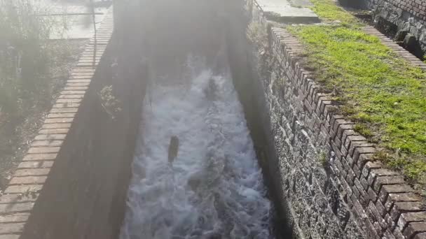 Vodopád Pozůstatků Historických Mlynářů Canterbury Kente Řeka Stour Protéká Těmito — Stock video