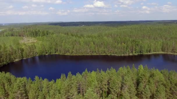 Beautiful Panning Drone Video Forest Lake Finnish Wilderness July 2018 — Stock videók