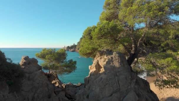 Aerial Rising Drone Shot Large Stones Trees Revealing Lloret Mar — Vídeo de Stock