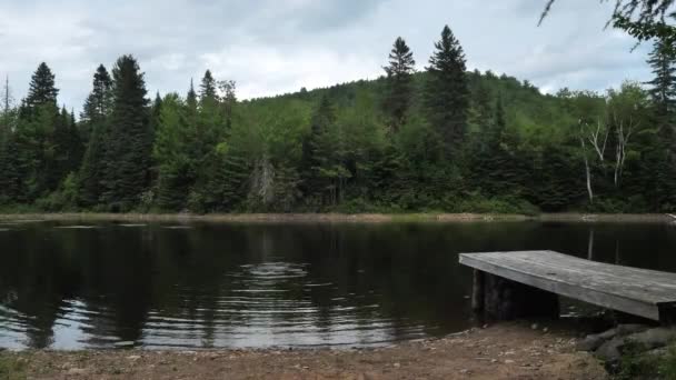 Kid Emerging Underwater Lake Forest — Stok video