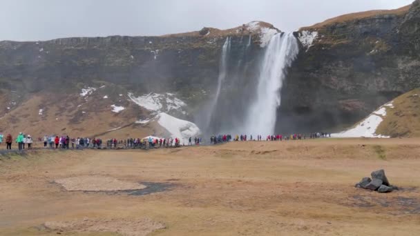 Static Wide Shot People Watching Enjoying View Seljalandfoss Waterfall Cloudy — Wideo stockowe