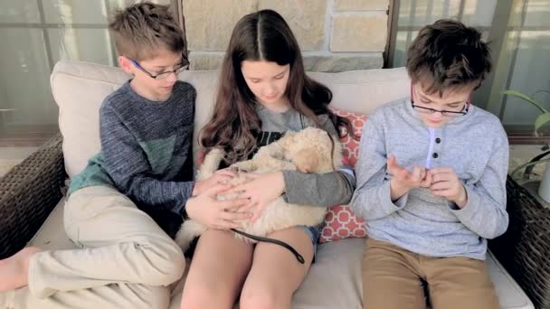 Trzy Słodkie Dzieci Pieścić Kochać Śpiącego Szczeniaka Siedząc Kanapie Ganku — Wideo stockowe
