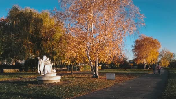 Posąg Elżbiety Centralnym Parku Vac — Wideo stockowe