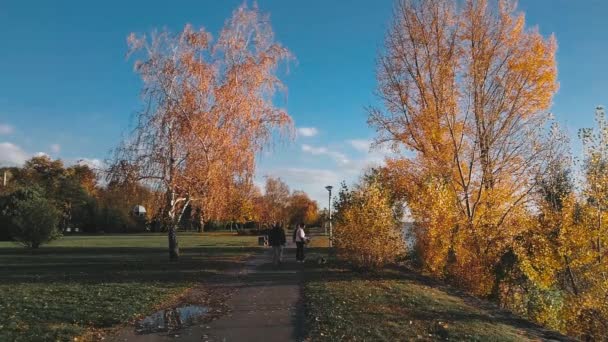 多瑙河沿岸的行人专用区和人行道 — 图库视频影像