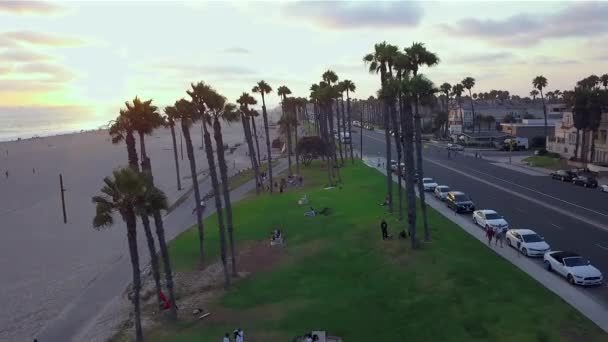 Drone Filmato Che Vola Tra Palme Sopra Piccolo Parco Sulla — Video Stock