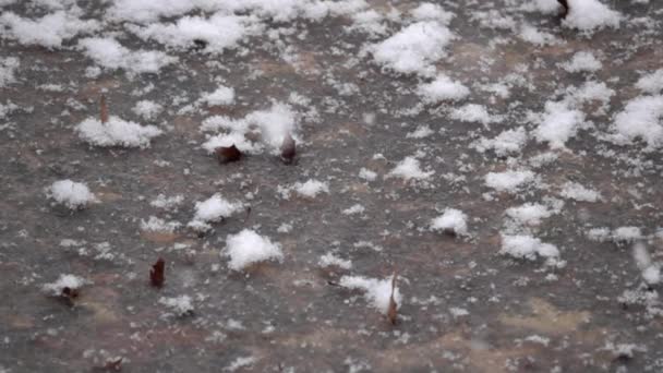 Neige Moelleuse Tombe Doucement Ralenti Accumule Sur Étang Gelé — Video