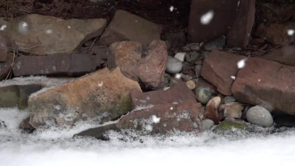 Nieve Esponjosa Cae Suavemente Las Rocas Del Lado Del Arroyo — Vídeos de Stock