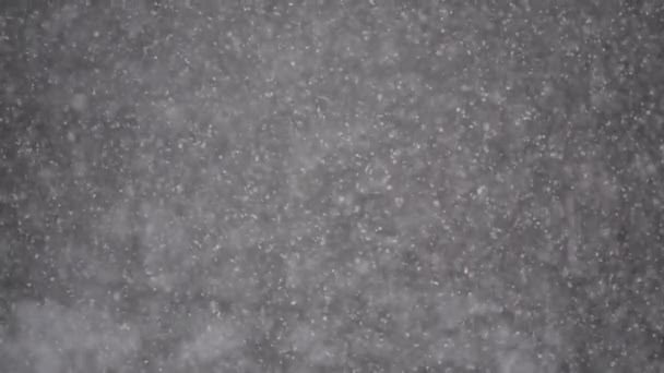 Pluizige Sneeuw Valt Zachtjes Slow Motion — Stockvideo