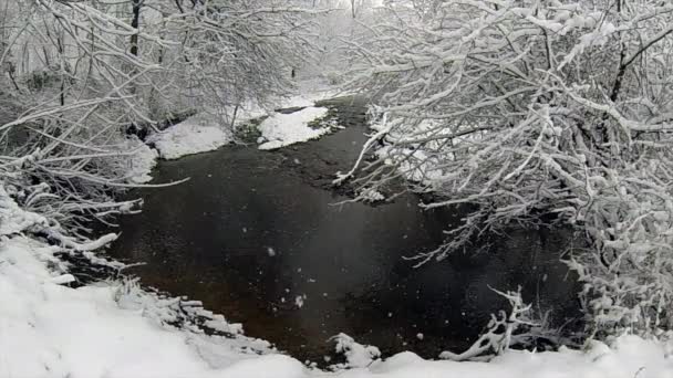 Nieve Esponjosa Cae Suavemente Cámara Lenta Sobre Arroyo — Vídeos de Stock