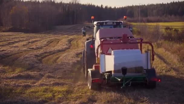 Harvester Machines Harvesting Wheat Field Countryside Sunny Day Soderhamn Sweden — ストック動画