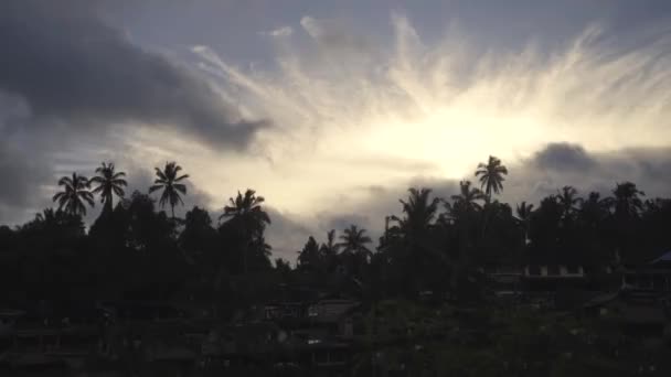 Stationära Skott Byn Ubud Indonesien Silhuett Mot Himlen Skymningen — Stockvideo