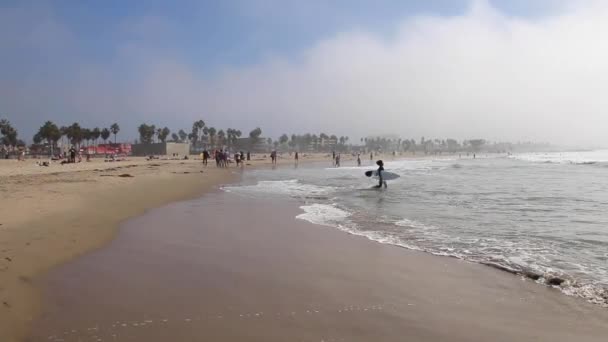 Вода Бризкає Пляжі Венеції Ходунки Серфери Потрапляють Воду — стокове відео